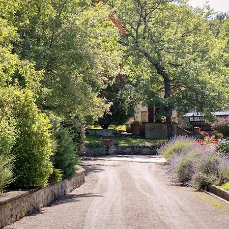 Il Giardino Delle Giare Villa Castiglion Fiorentino Luaran gambar
